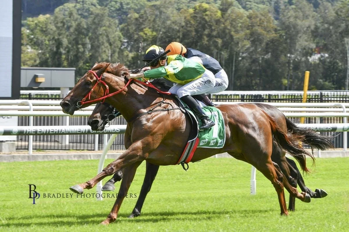 Ceolwulf’s Half-Sister Breaks Through at Gosford