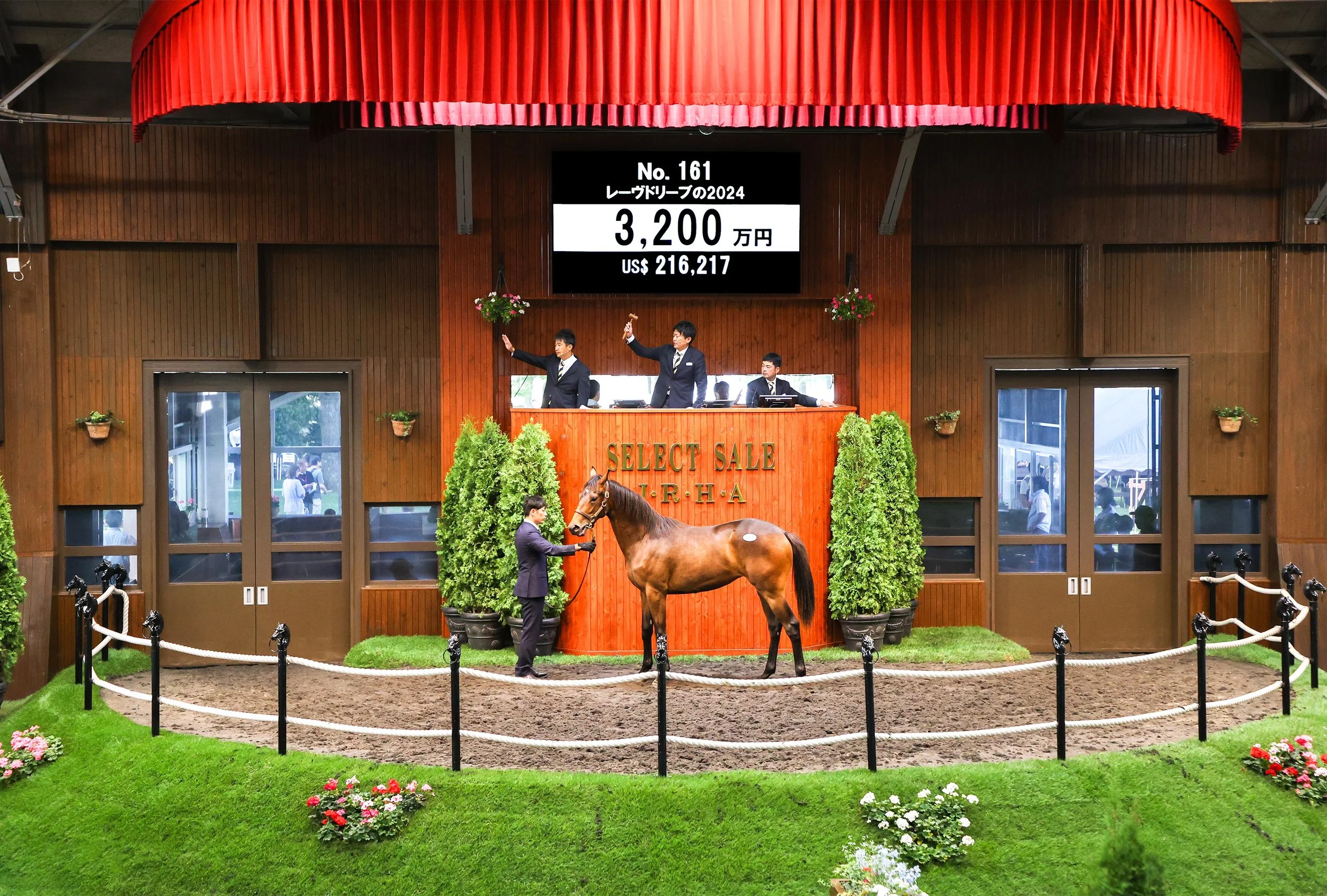 So Bloodstock Granted JRA Ownership License