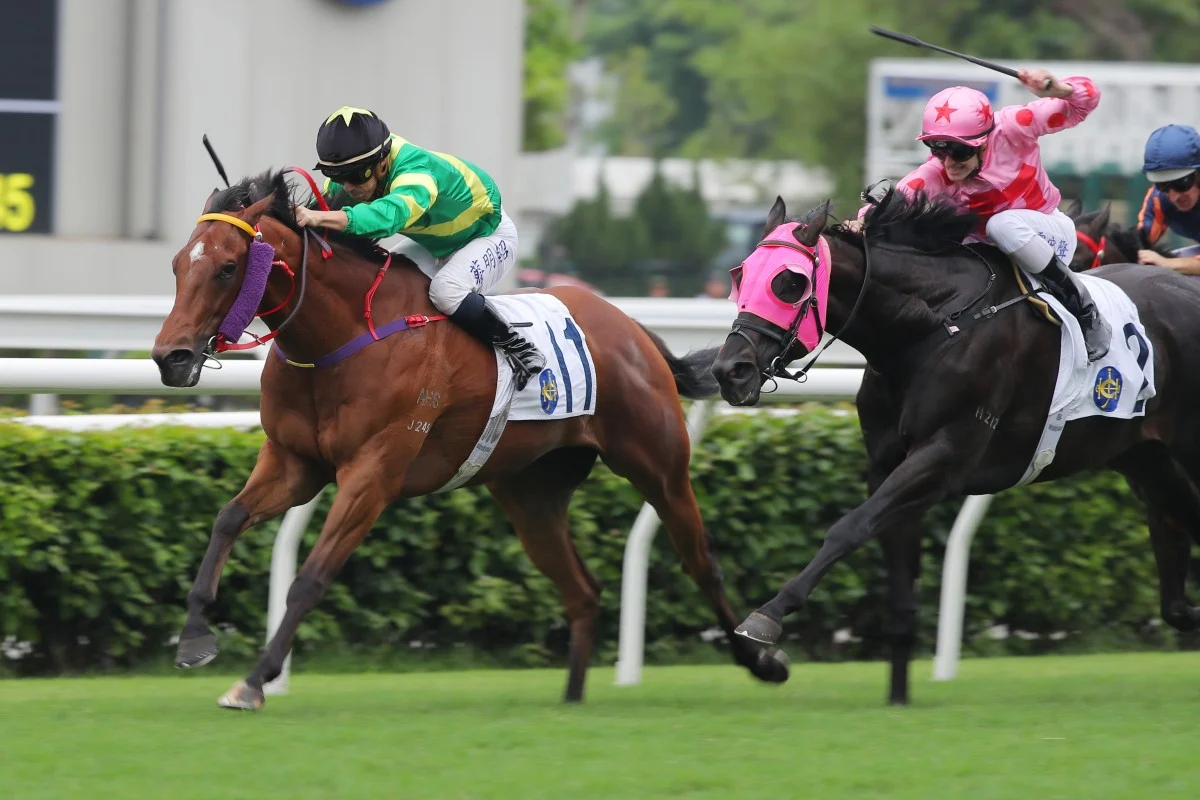 Pray For Mir leads them a merry dance to win Lion Rock Trophy for delighted Cody Mo