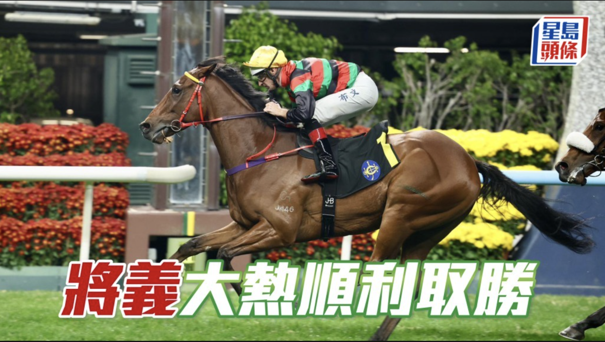 馬場密探048｜「將義」大熱順利取勝