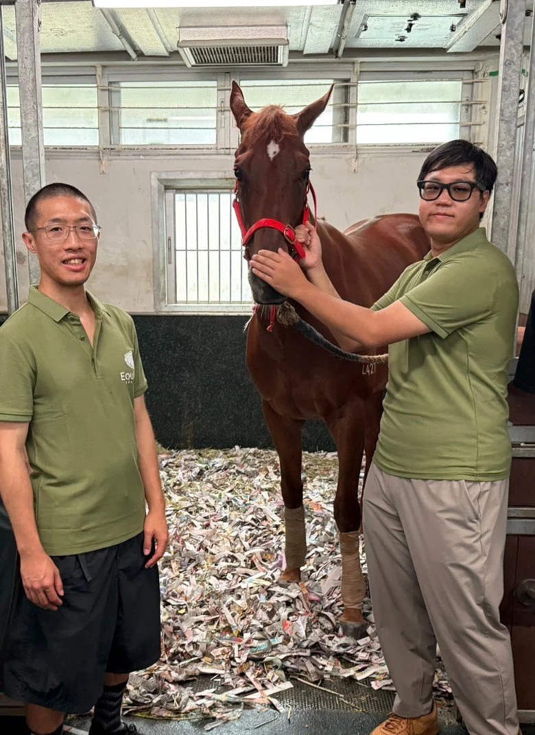 馬會 So Bloodstock 合作 | 今年拍賣會有新方法揀馬