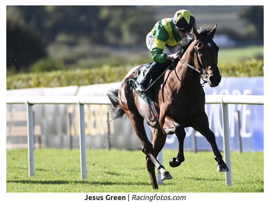 'He's Very Exciting': Sheridan Steers Jesus Green To Navan Win