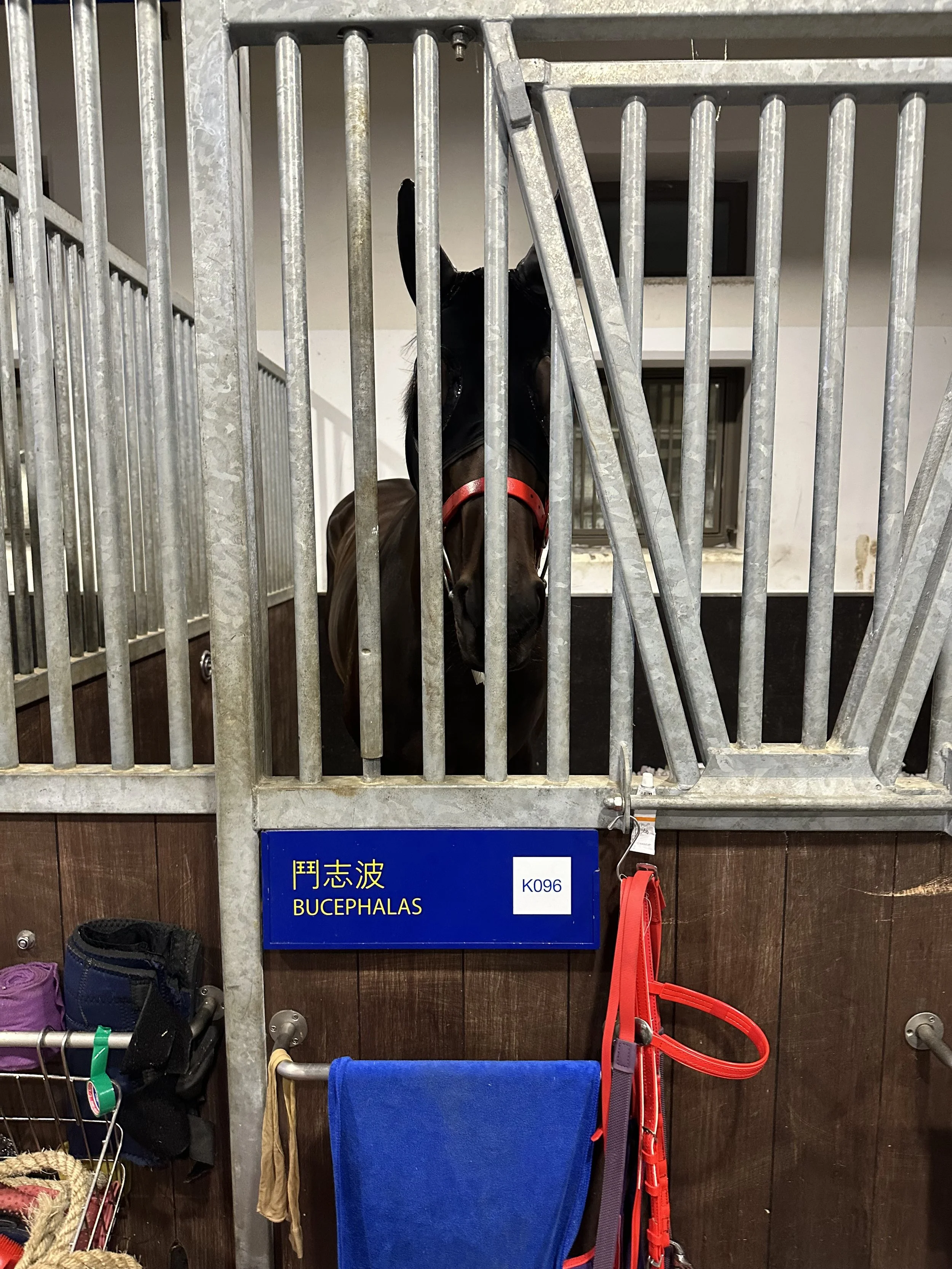 IMG_3810.jpeg