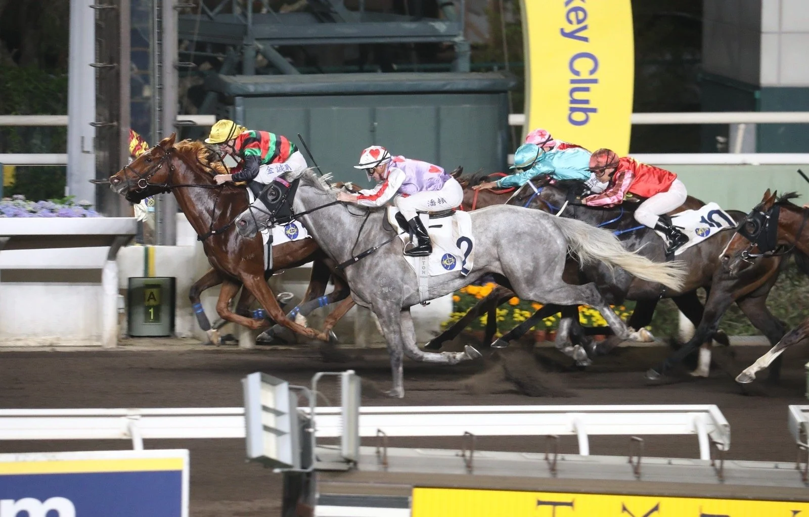 1cdd2cb9-6581-47d5-97ad-62ad962bda73 (1).jpg