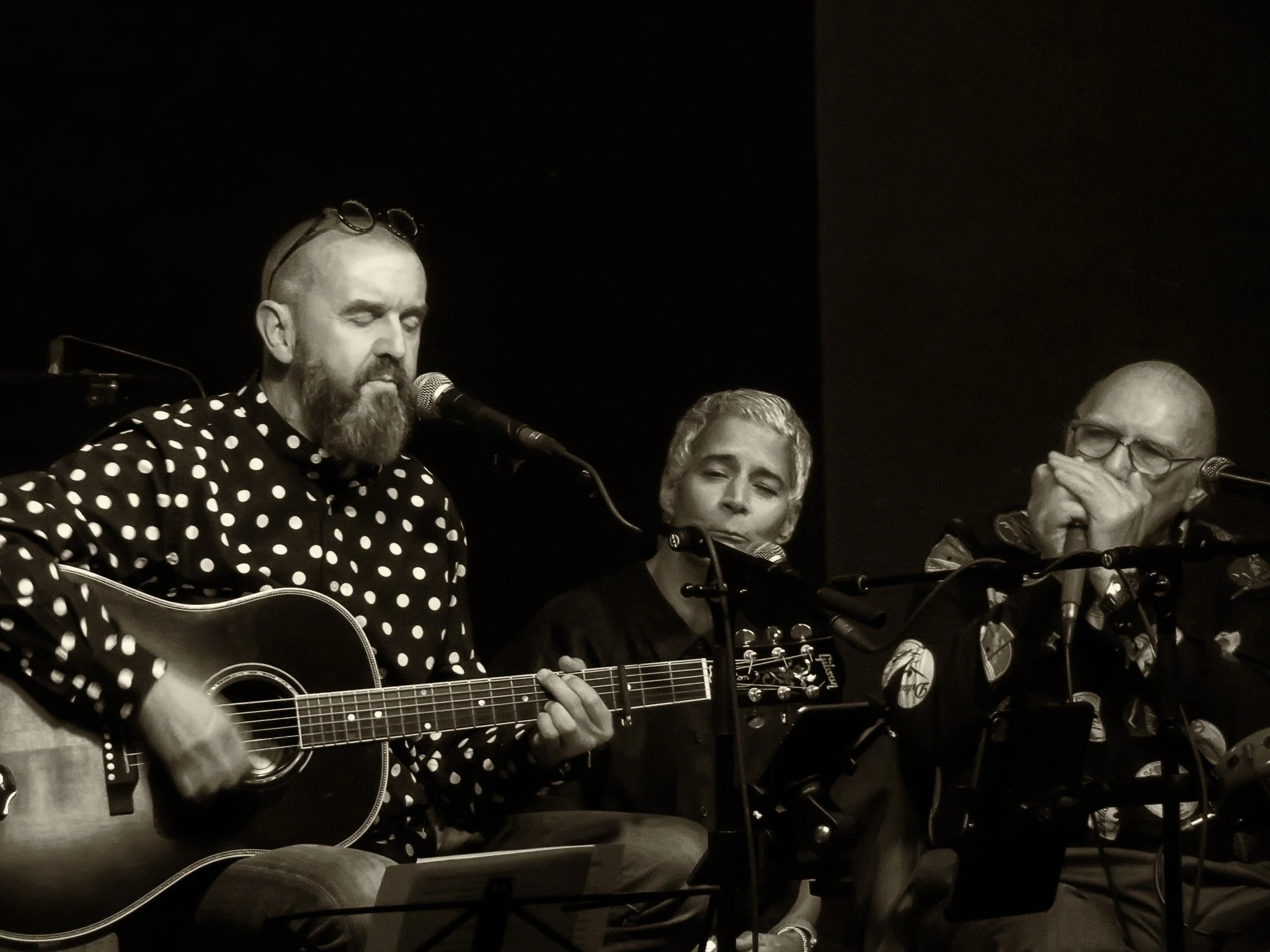 Sulidae & Friends- Carol Laula and Fraser Speirs-The Glad Cafe 2024

