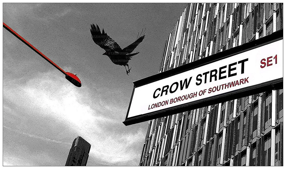 CROW STREET WEBj.jpg