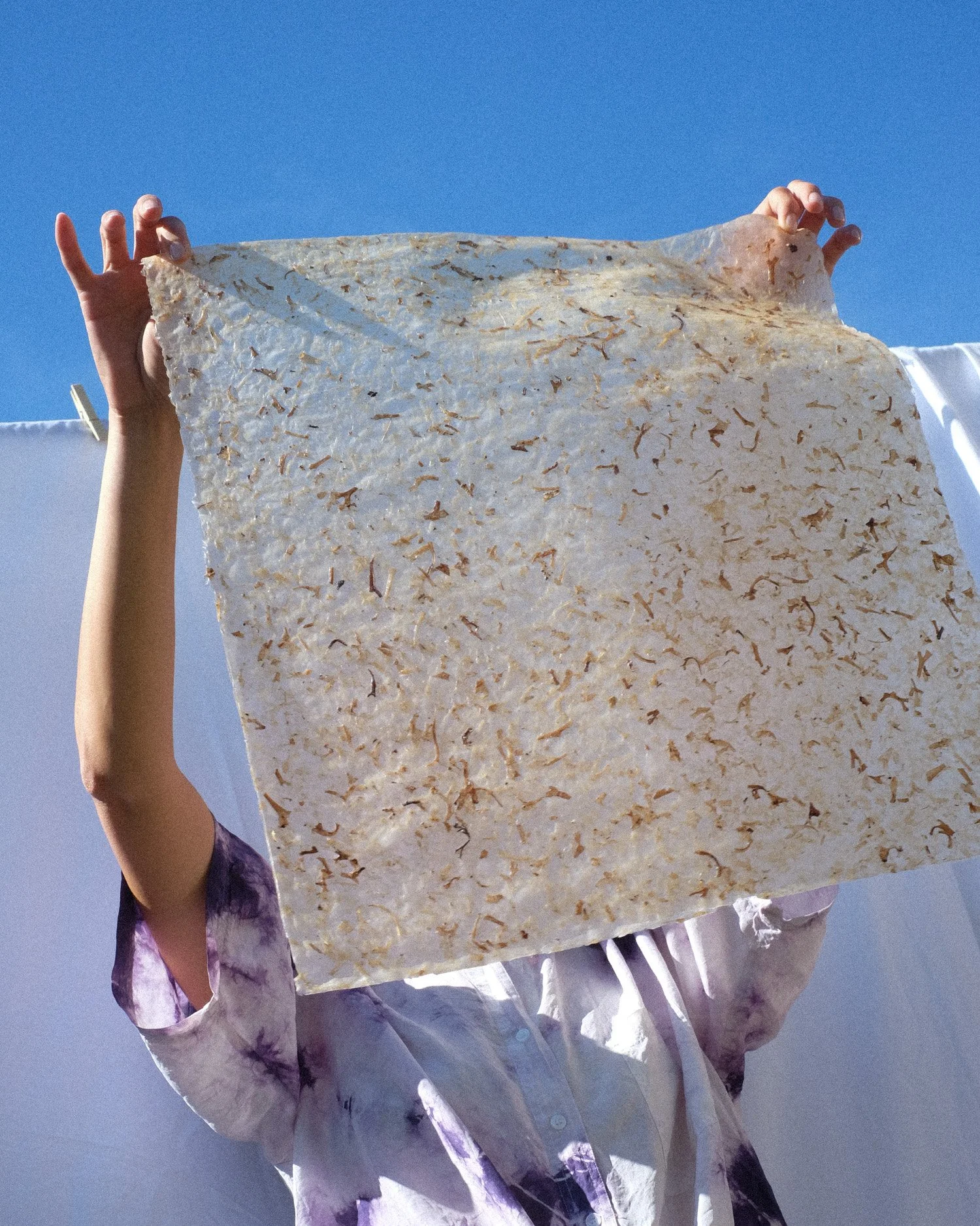 Irish Moss Seaweed Biomaterial