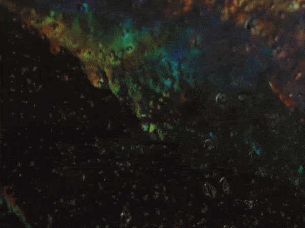 Tapioca & Charcoal Holographic Biomaterial