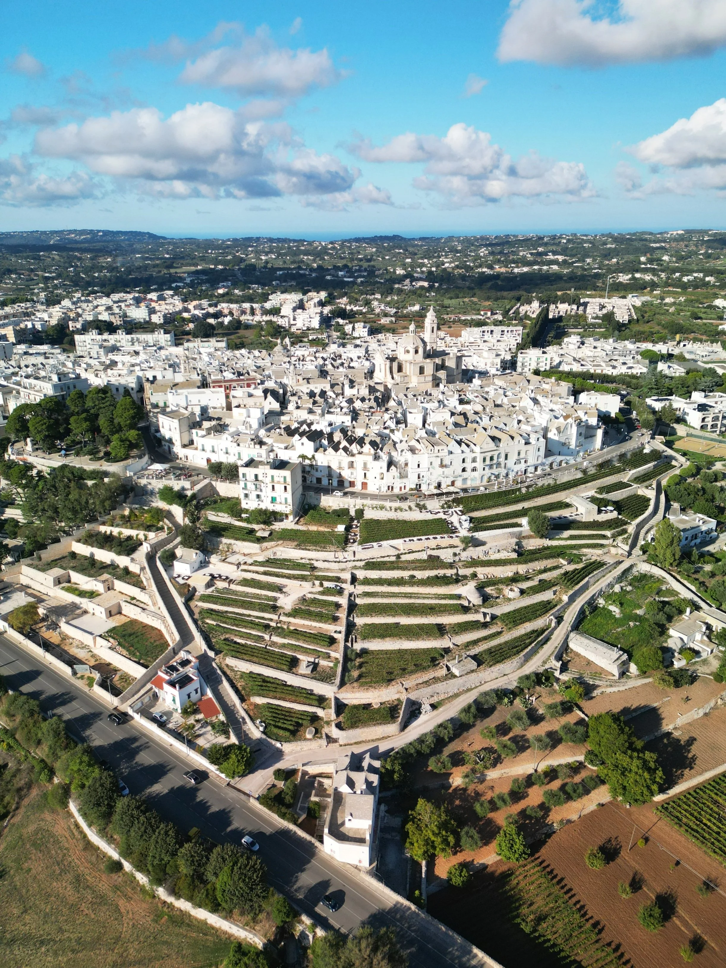 DJI_0735.jpg
