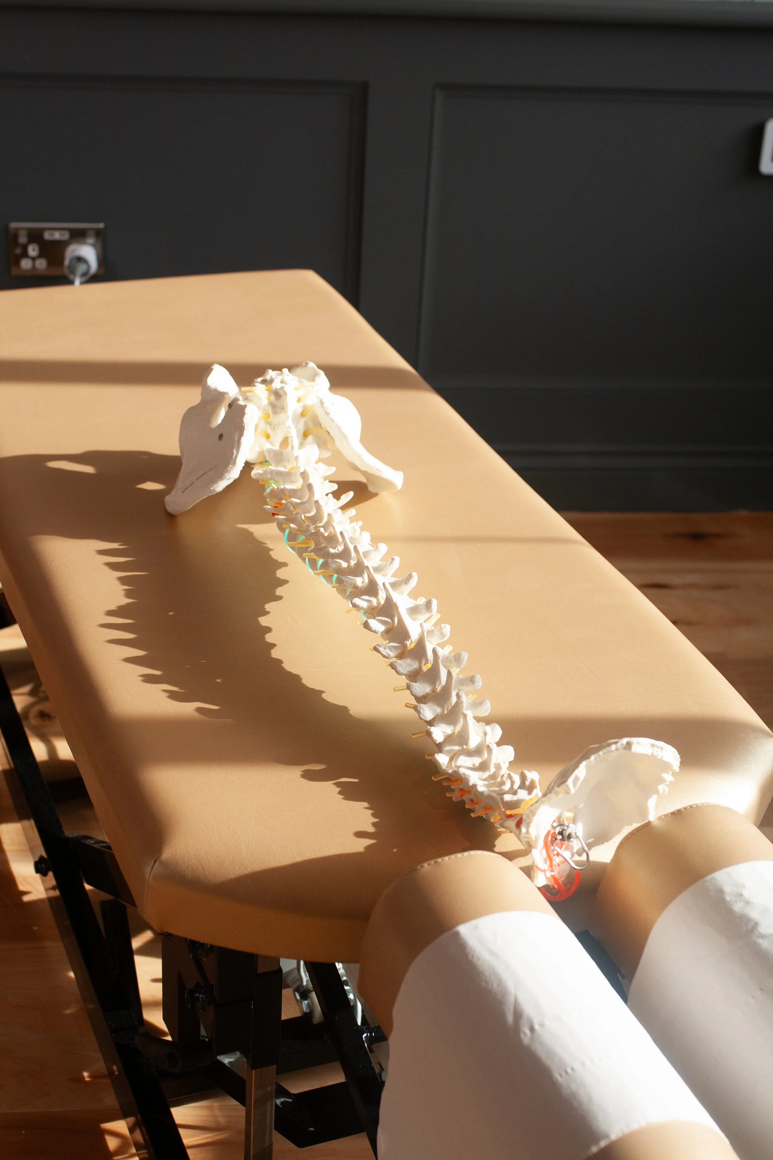 Everyday Habits That Affect Your Spine