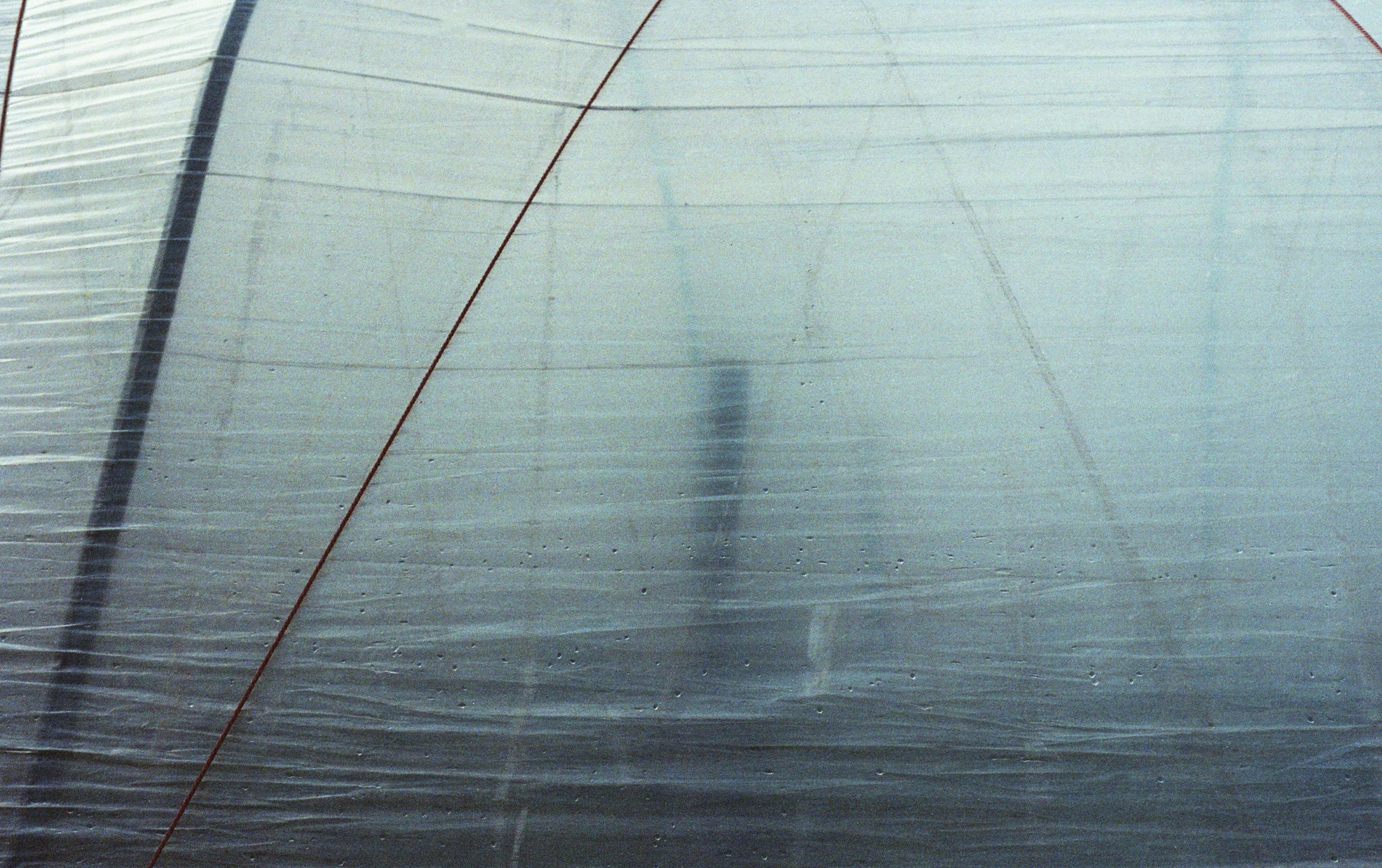 Close up of a pole from the inside of a poly tunnel, at Kings Bromley's Strawberry Fields. Shot on Film by Charlie Allanson-Smith.
