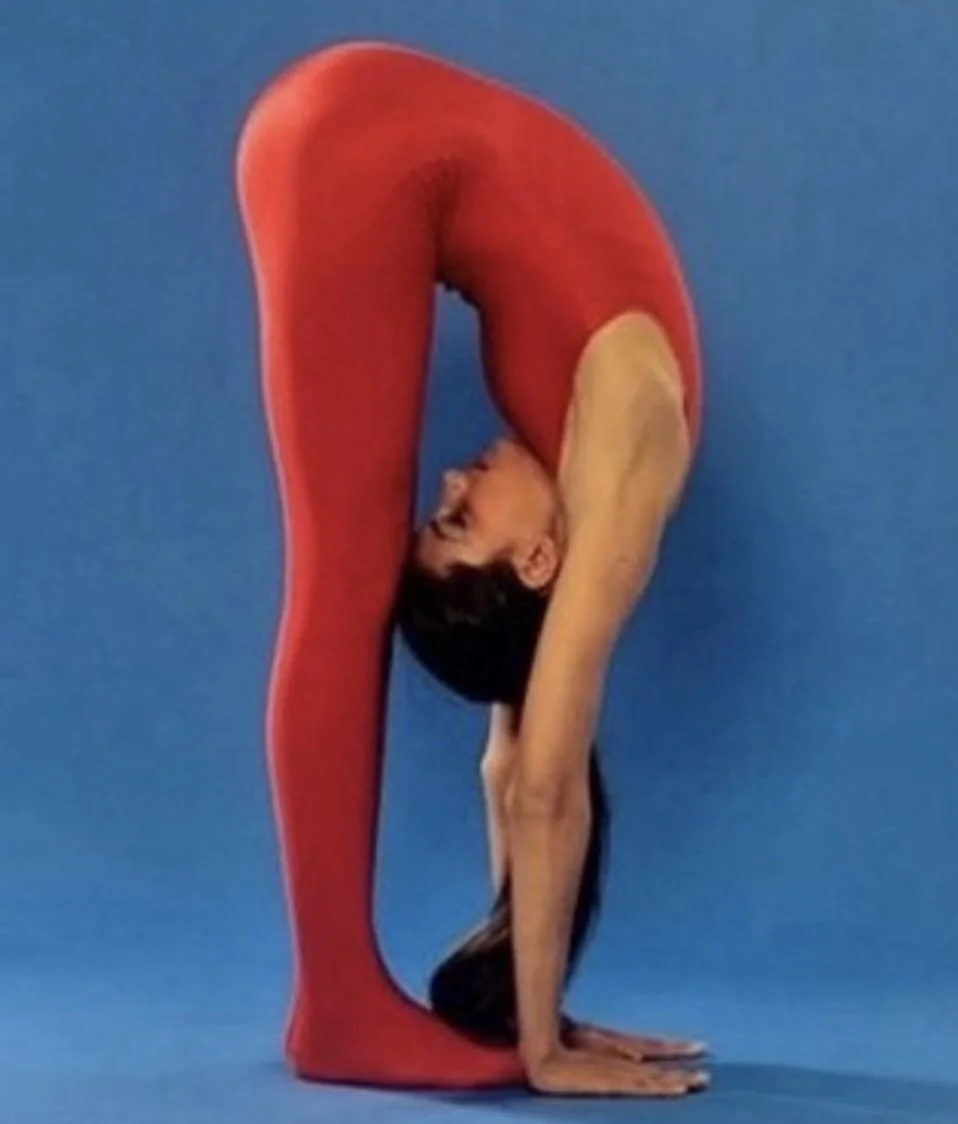 going into the holidays like ✨✨