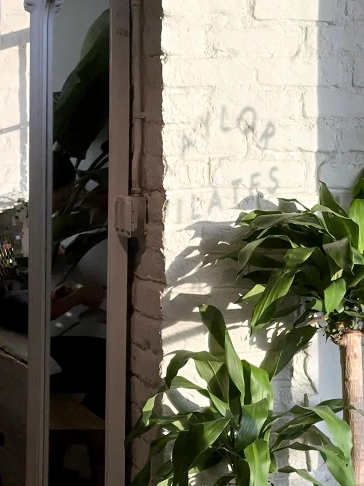 Memberships now added to code: blackfriday25 

Only until Friday - cannot use both discounts - either extra 5 pack or discounted membership. 🖤🖤🖤