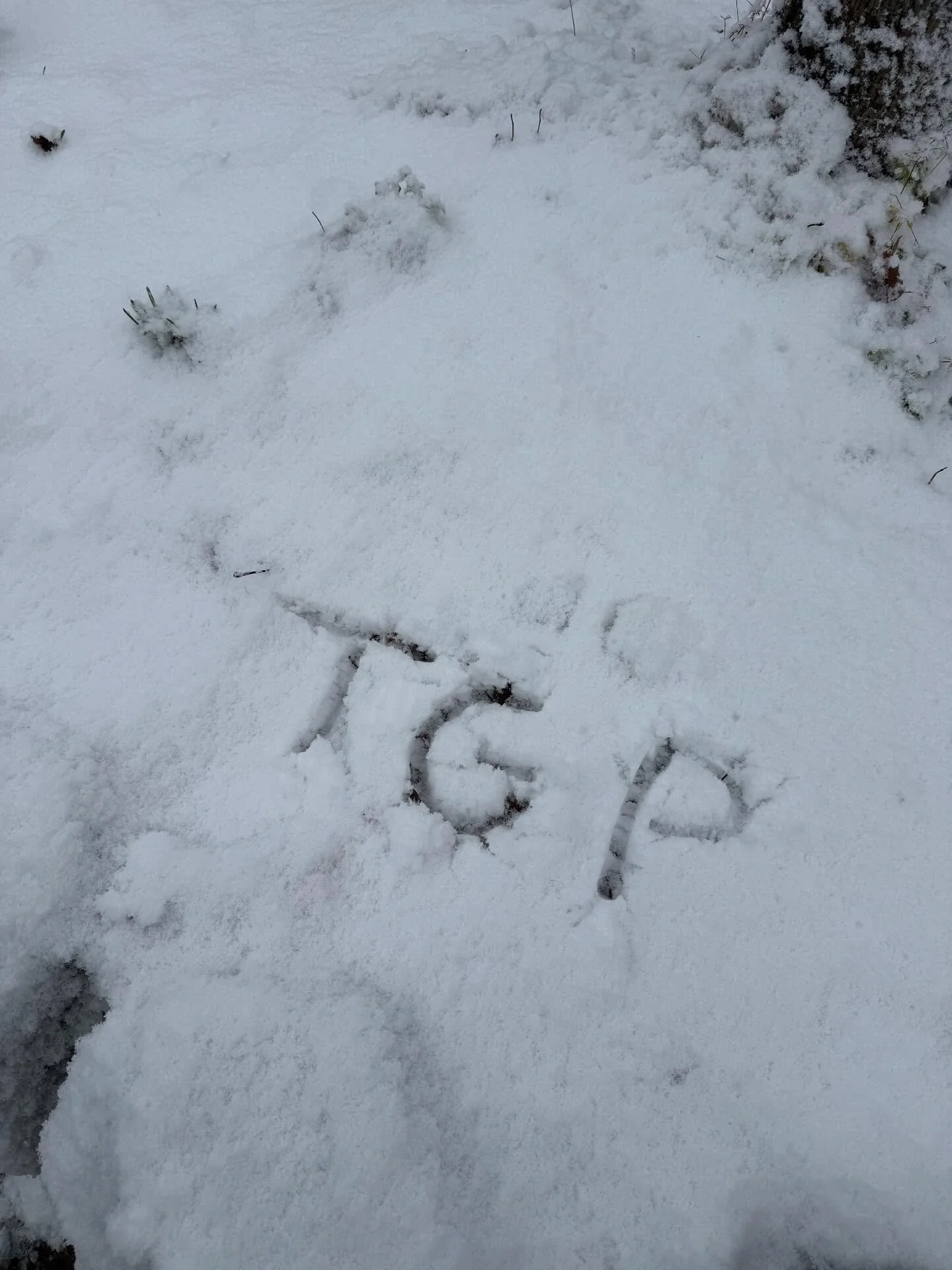 A TGP wonderland❄️🧊🌨️
