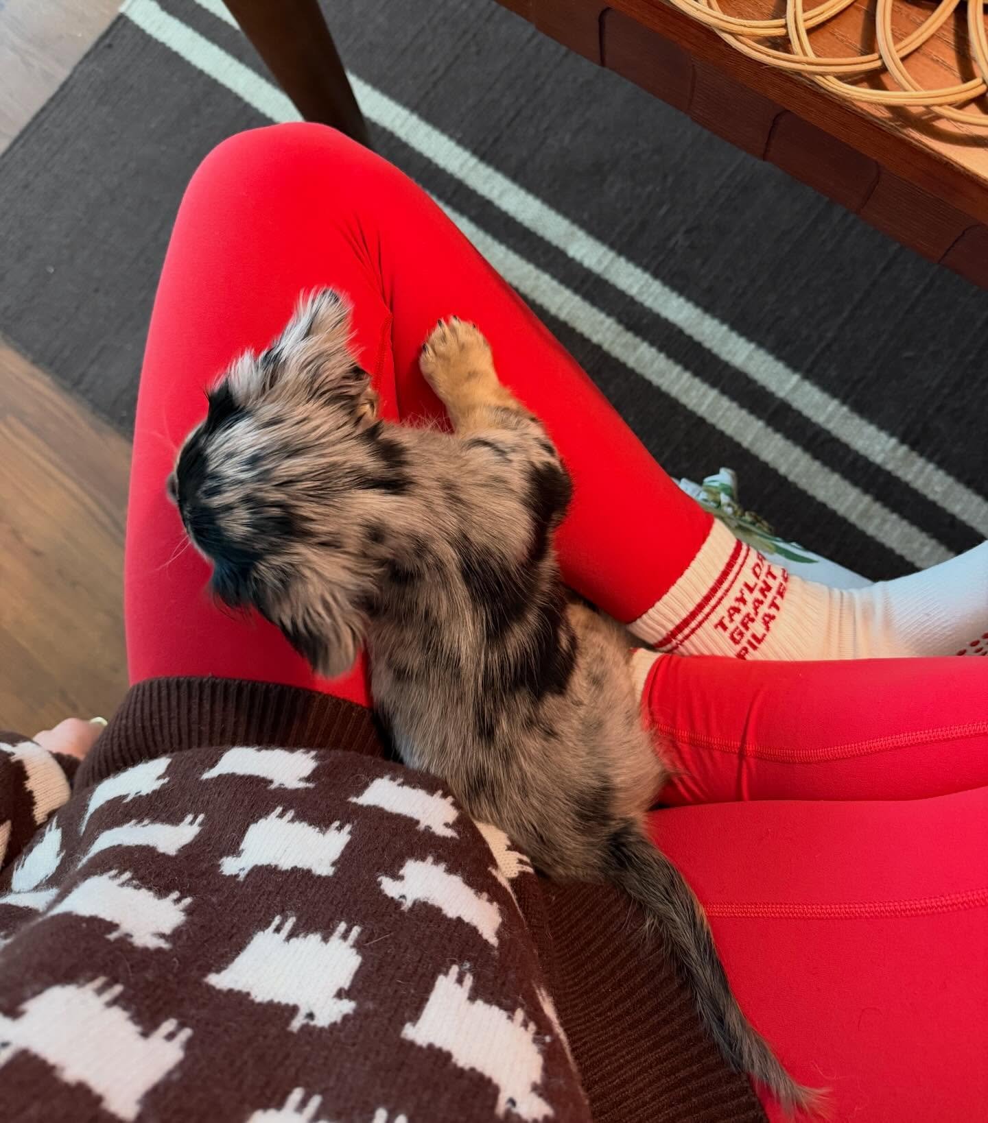 Pepper ❣️ TGP!!!!