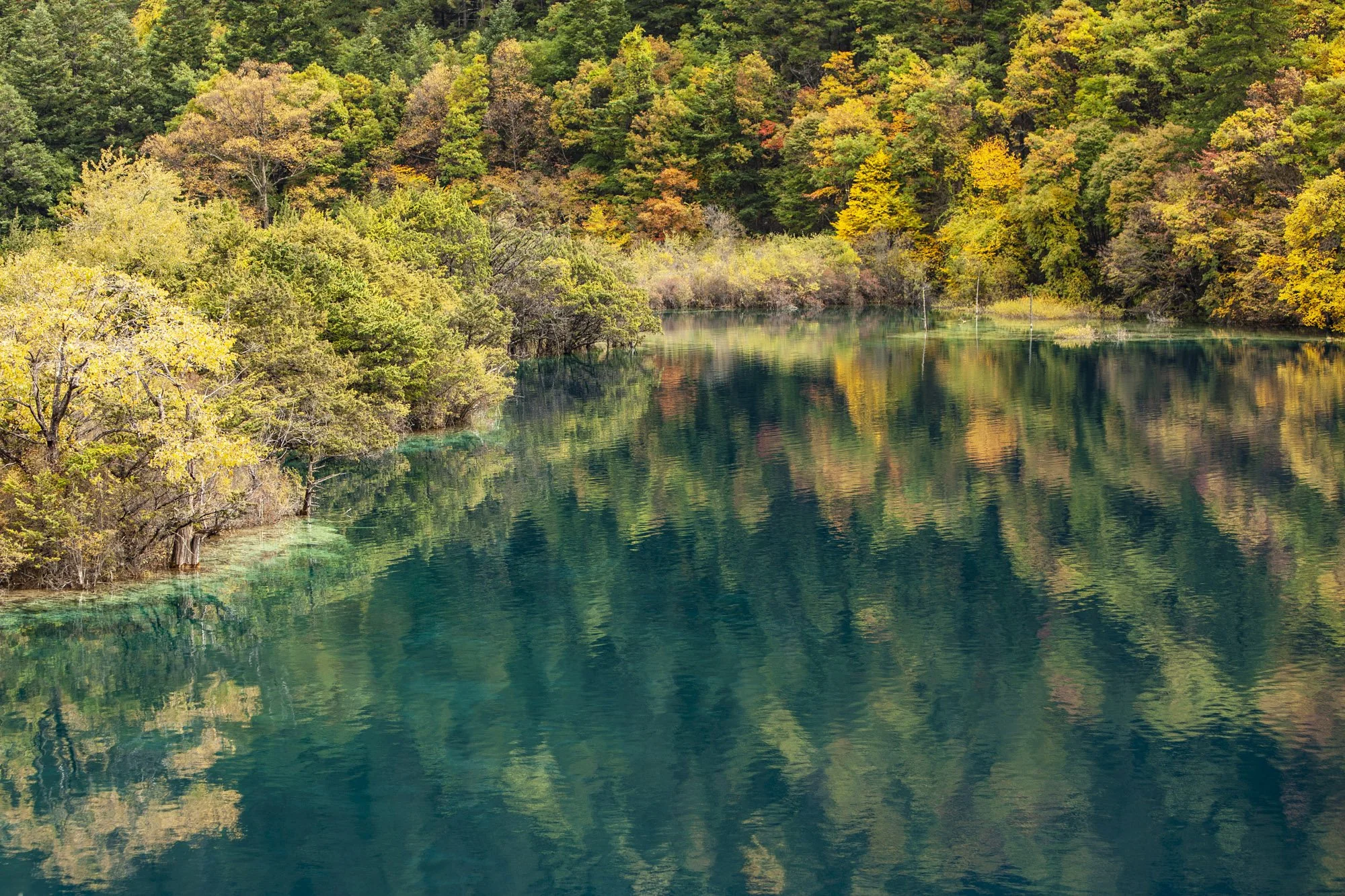 China-Christopher-Landi-Autumnal-Colours-Lakes-Jiuzhaigou4.jpg