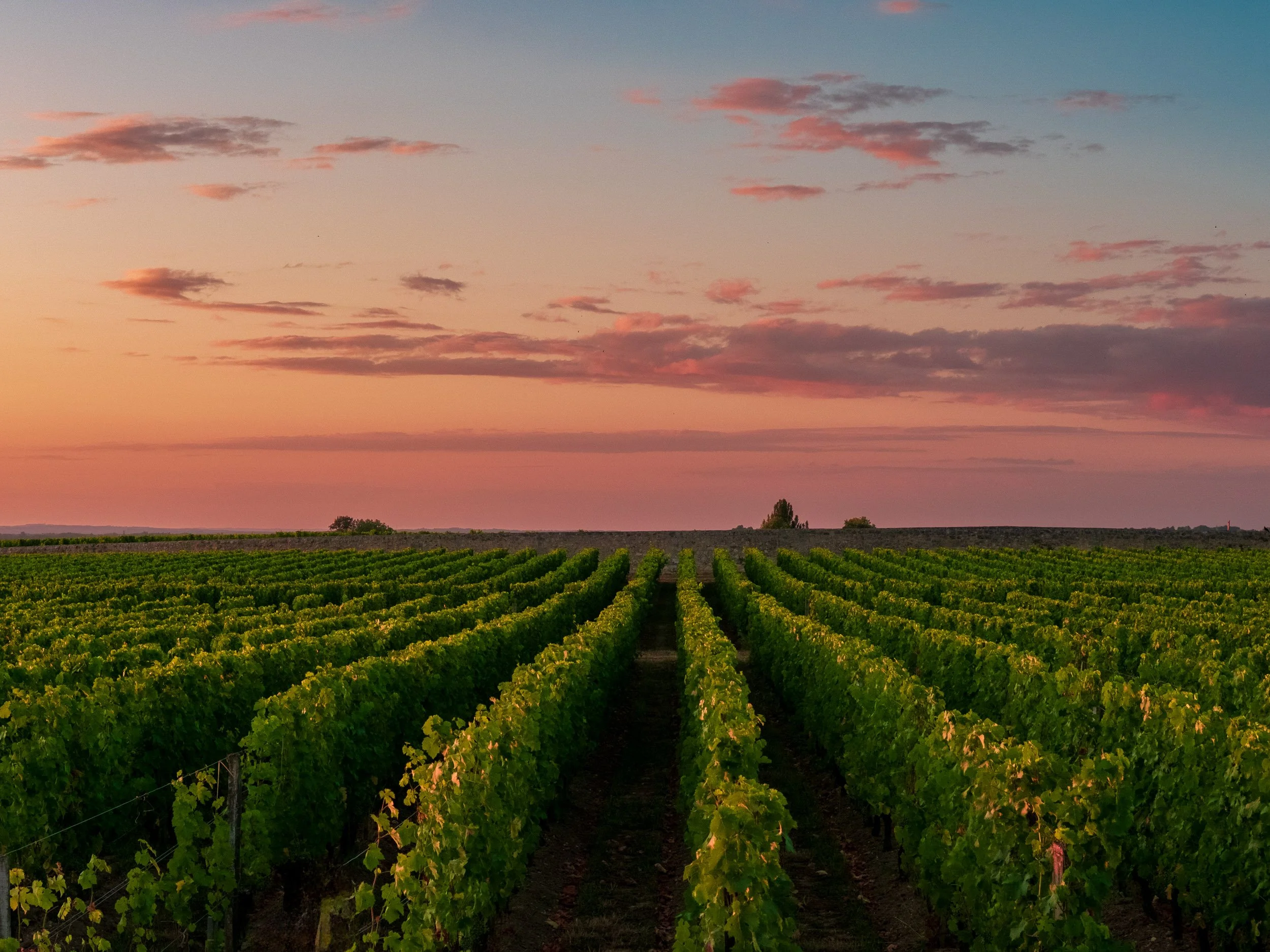St. Emilion, France