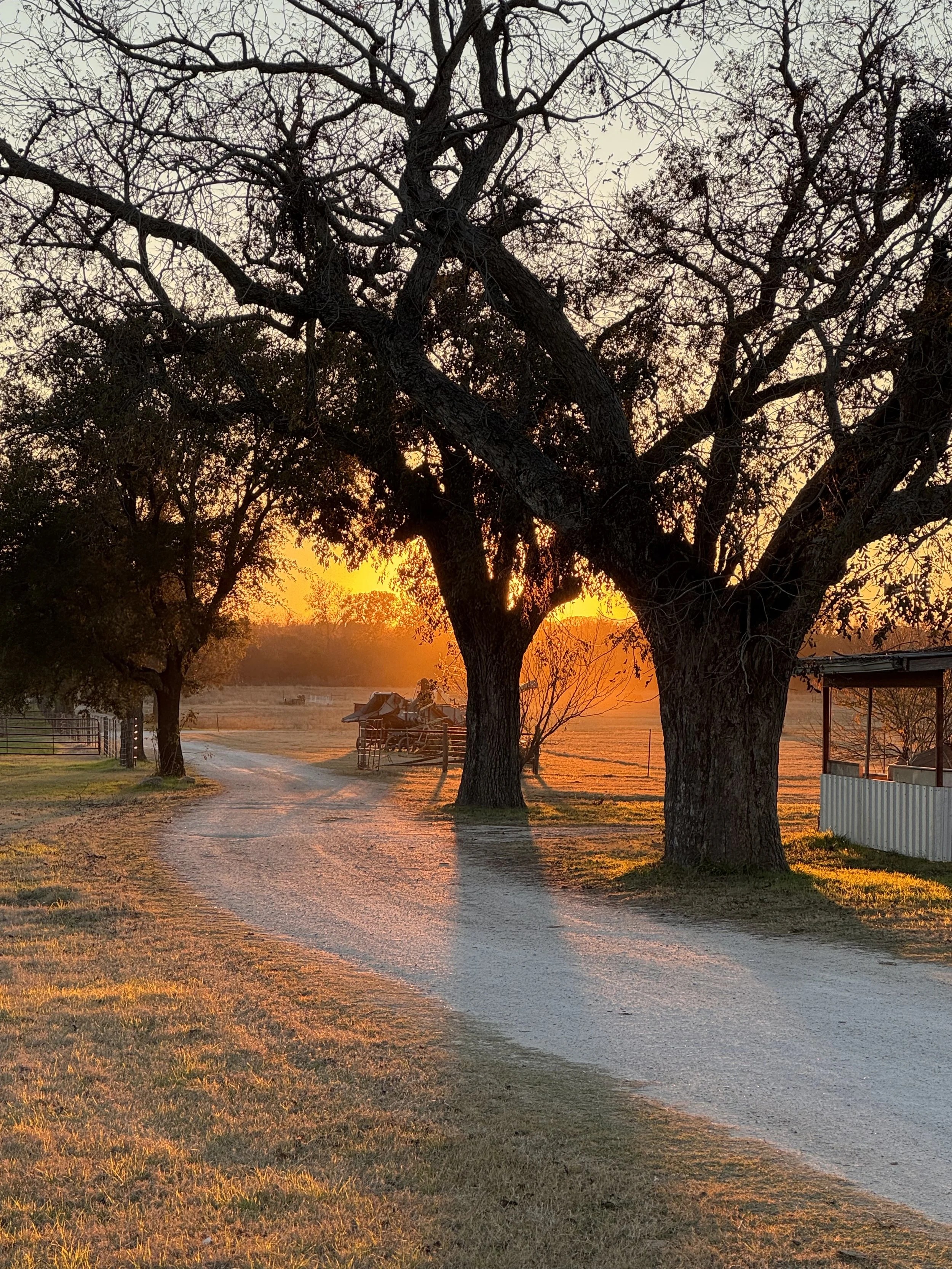 I Need to Confess Something