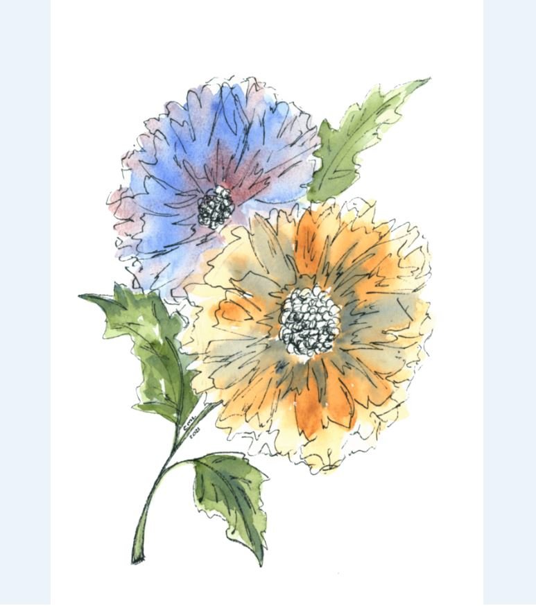 Blue and Orange Flowers