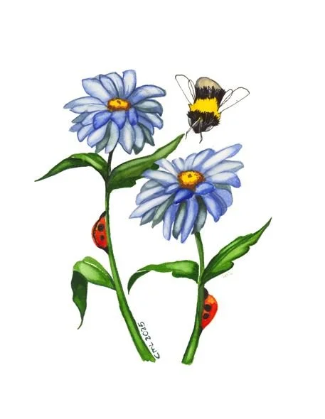Blue daisy 1