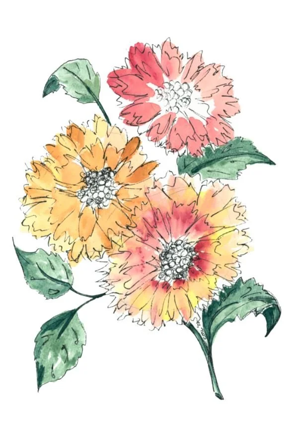 Pink and Yellow Flowers 1.JPG
