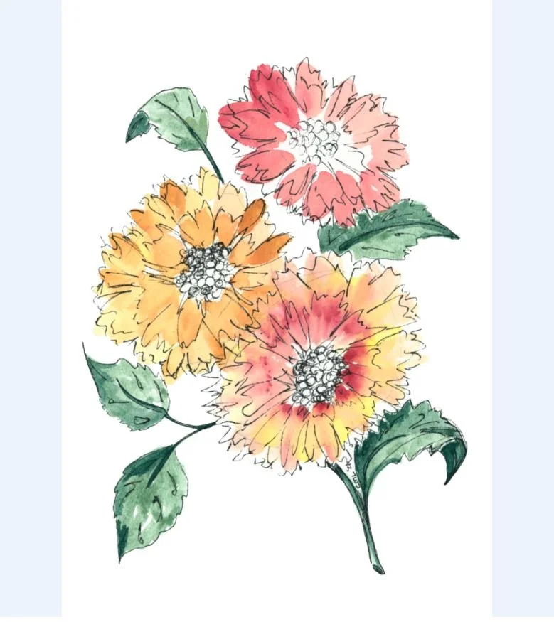 Pink and Yellow Flowers 1