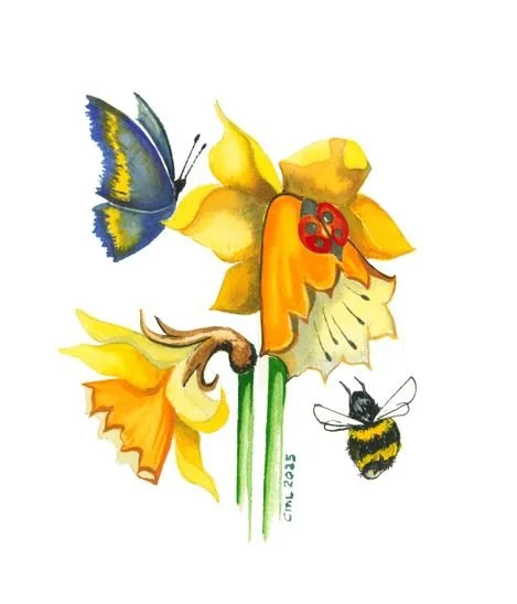 Daffodil 1