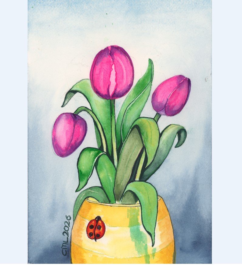 Tulips 1