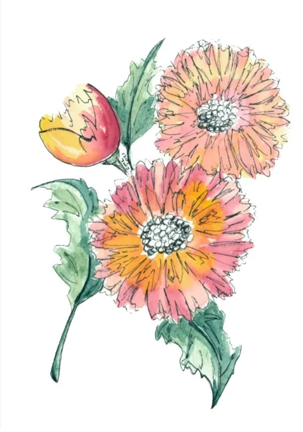 Pink and Yellow Flowers 2.JPG