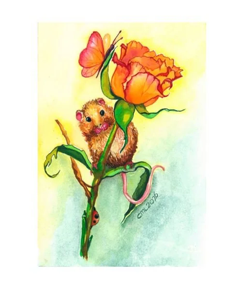 Harvest Mouse on Orange Rose