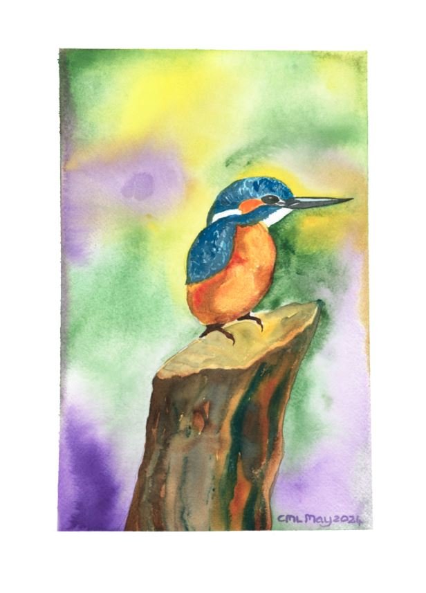 Kingfisher on a log