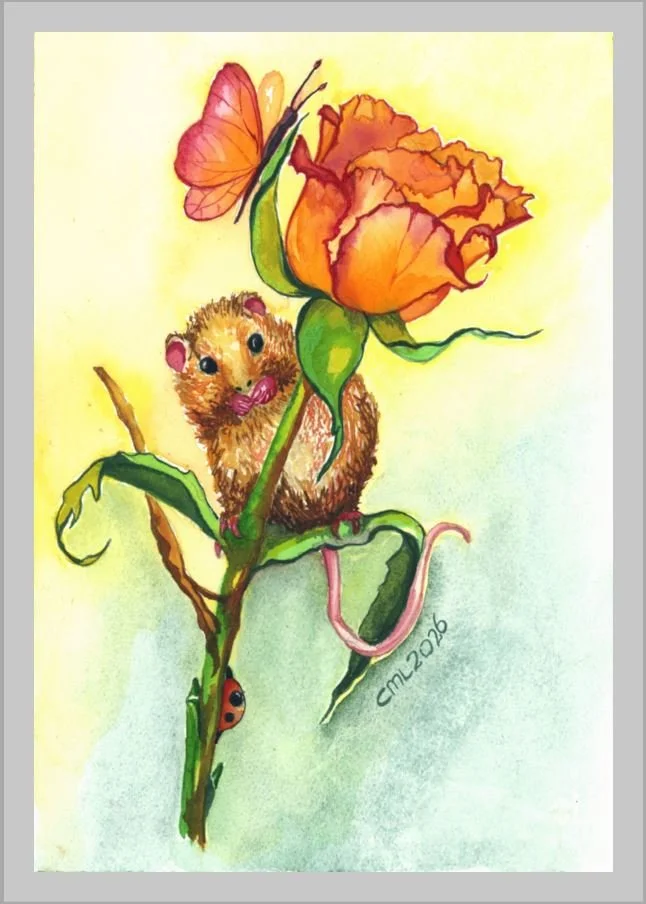 Harvest Mouse on Orange Rose