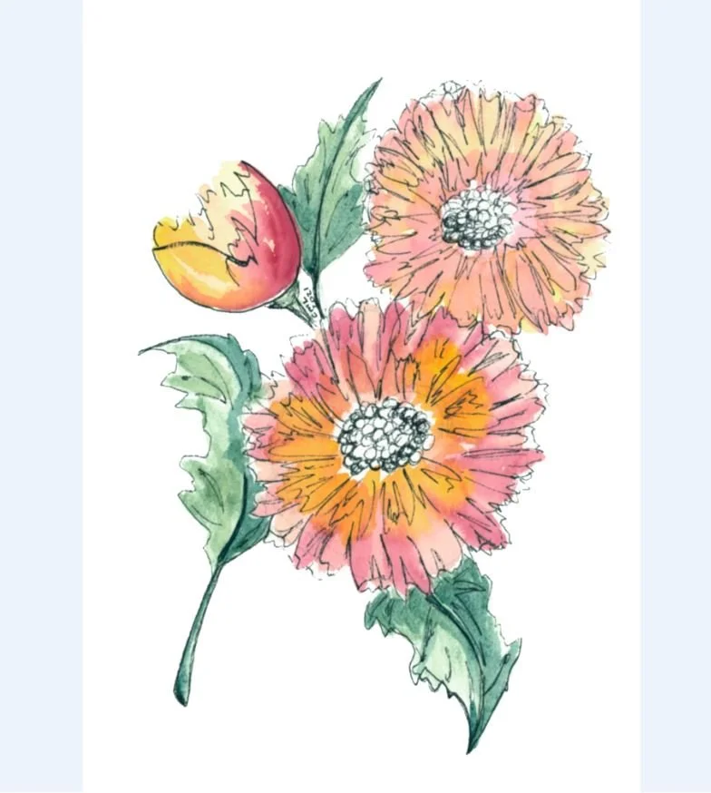 Pink and Yellow Flowers 2