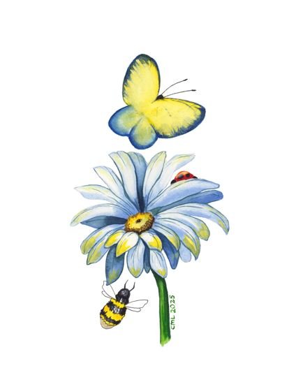 Blue daisy 2