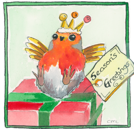 Robin on Christmas present