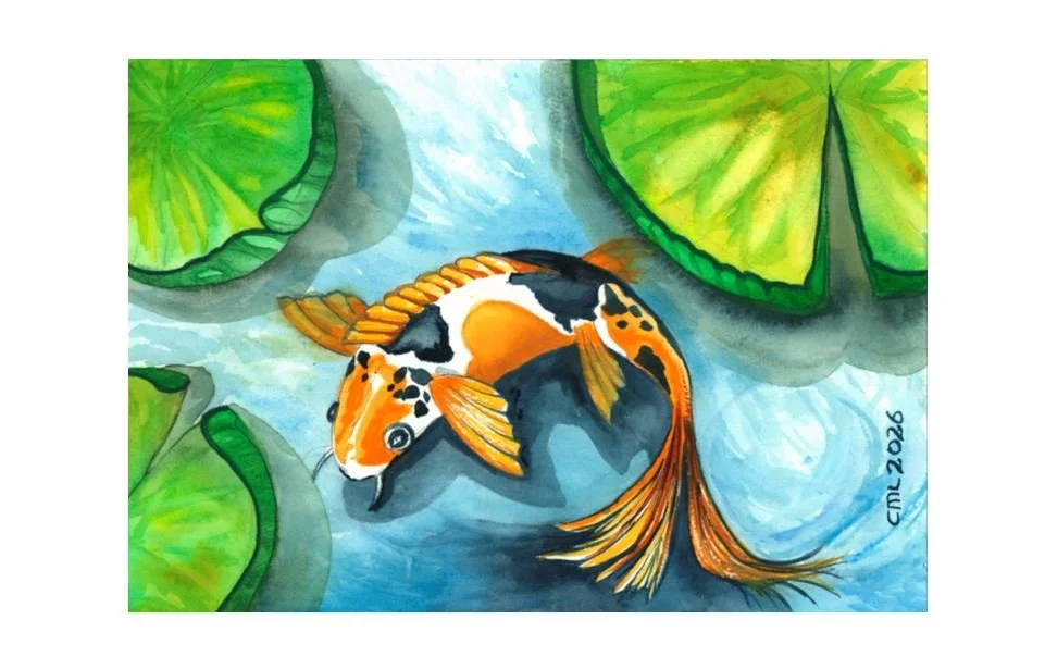 Koi Carp 1