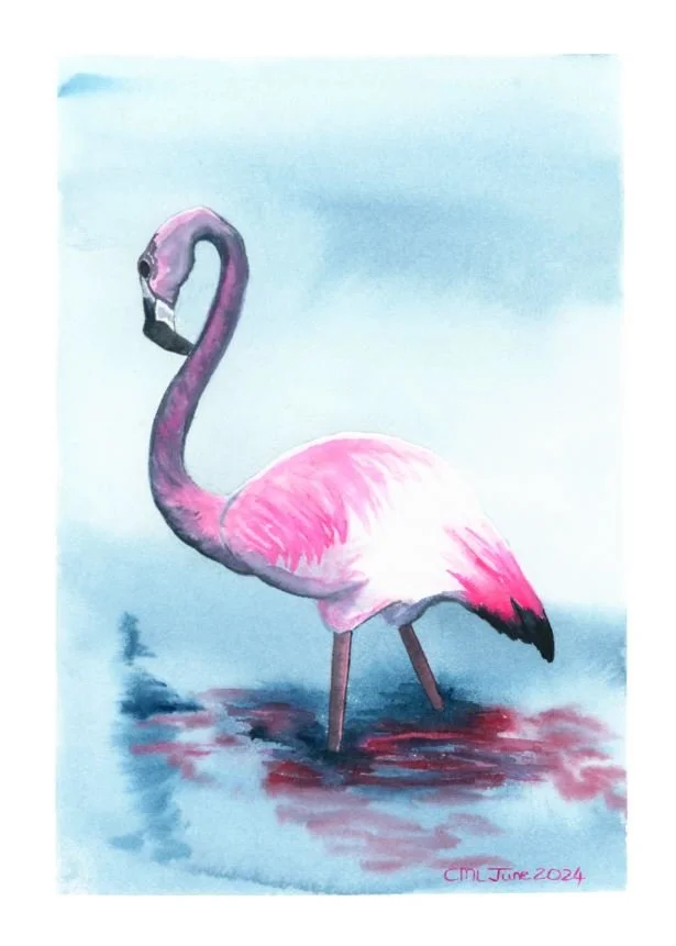 Flamingo