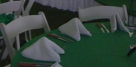 Dinner Napkins (Copy)