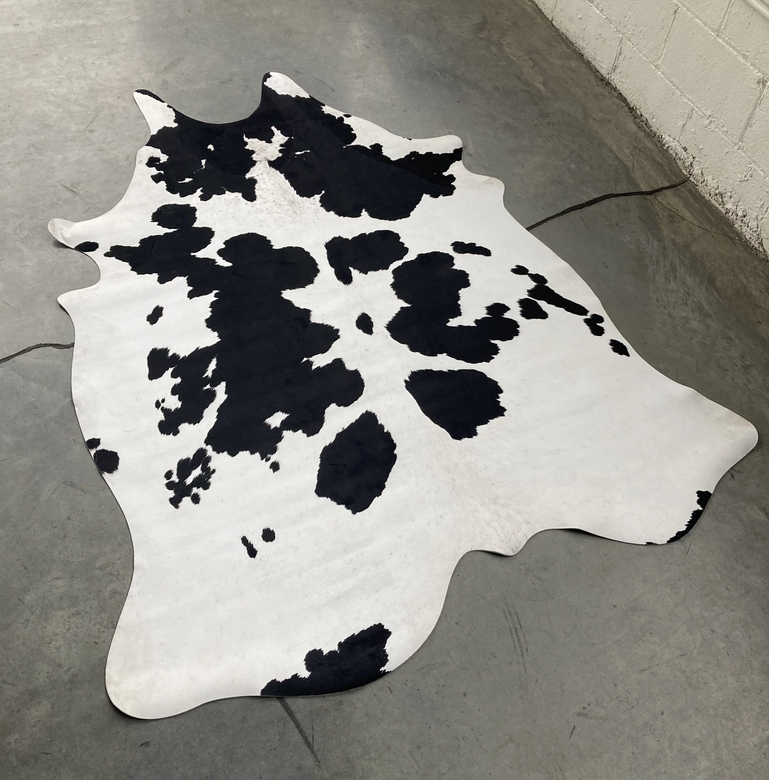 Black and white cow skin rug rental