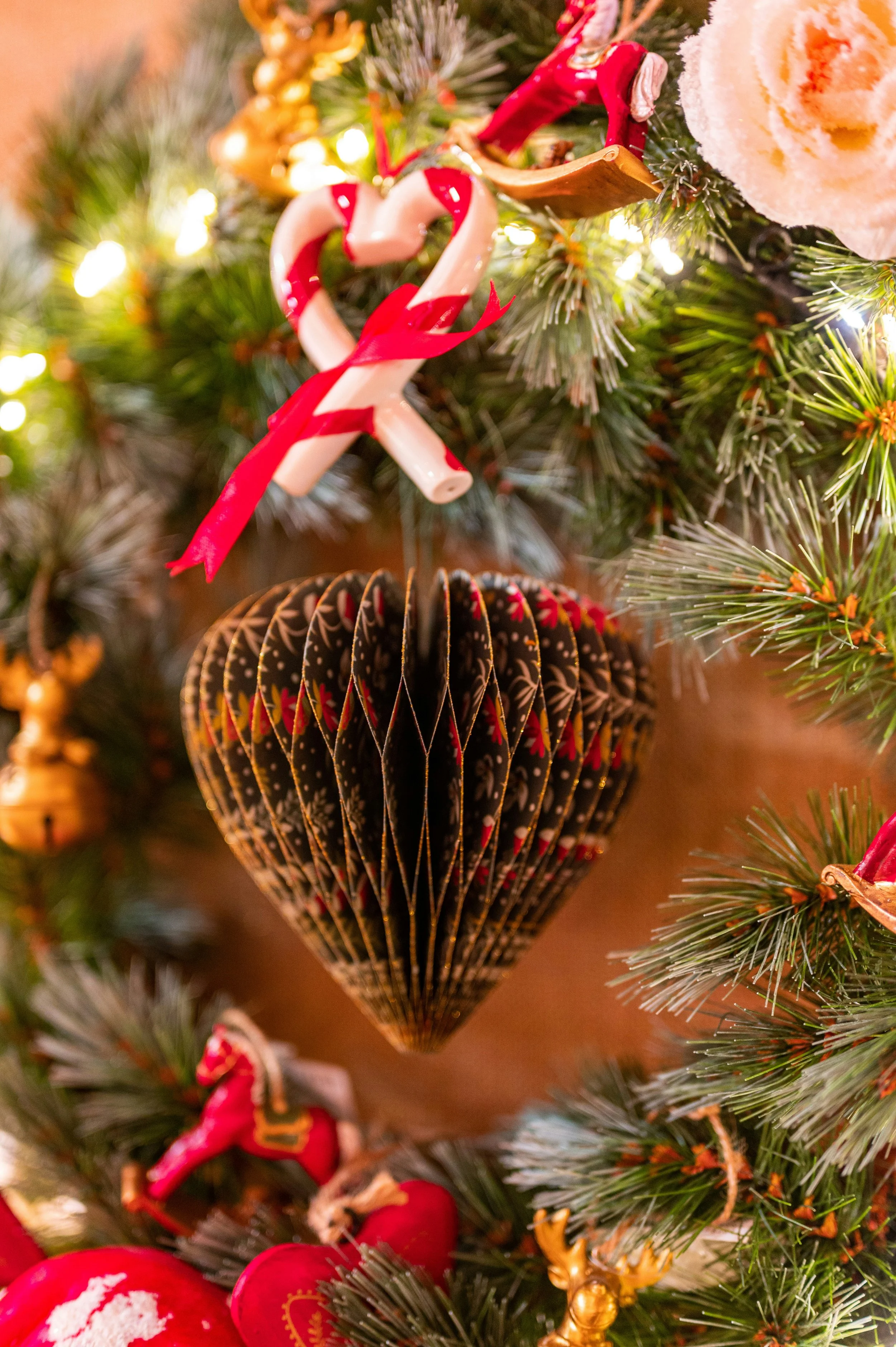 On this Christmas Day, let’s allow ourselves to dream a little… and imagine a world where…