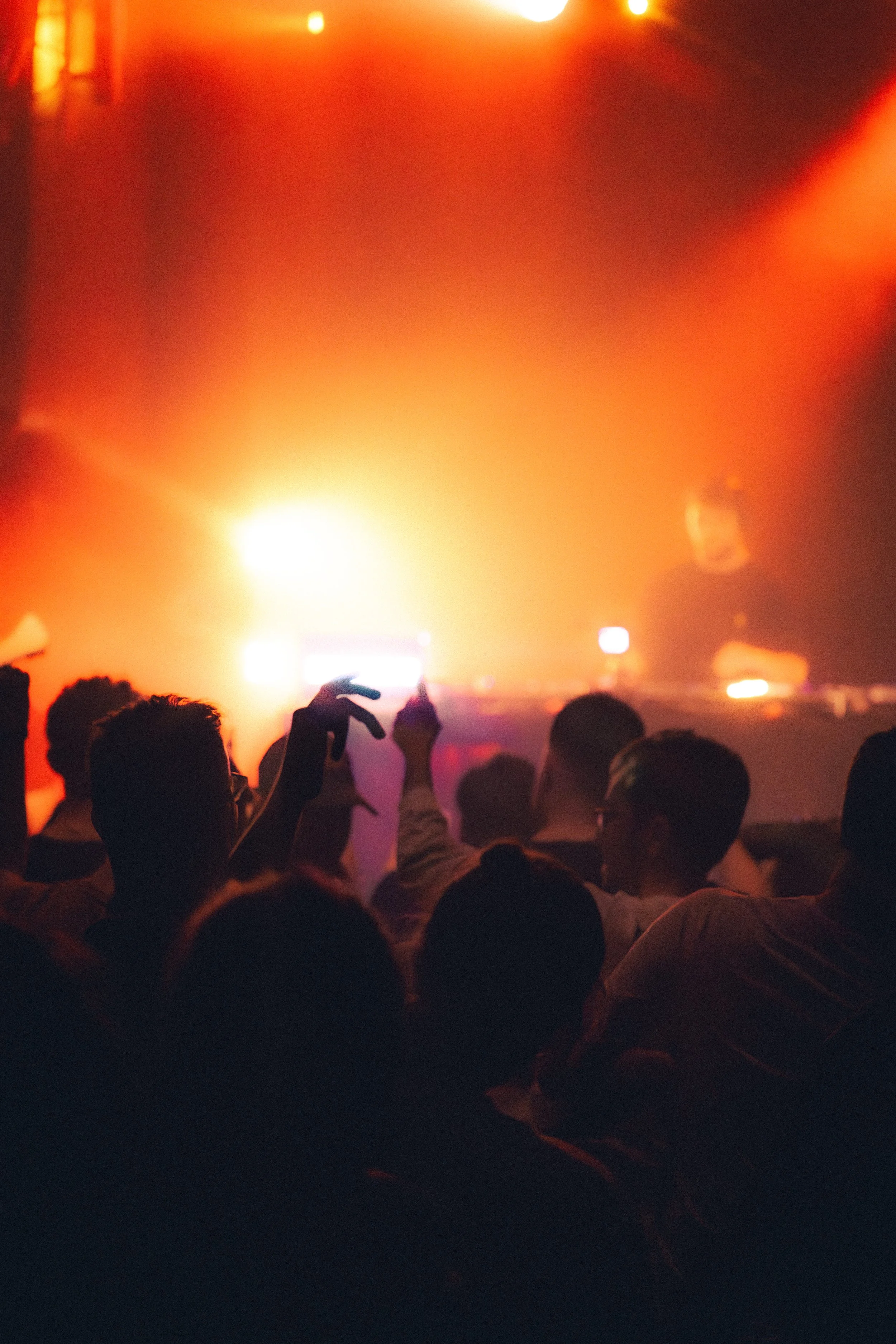 DSC01924-Avec accentuation-Bruit.jpg