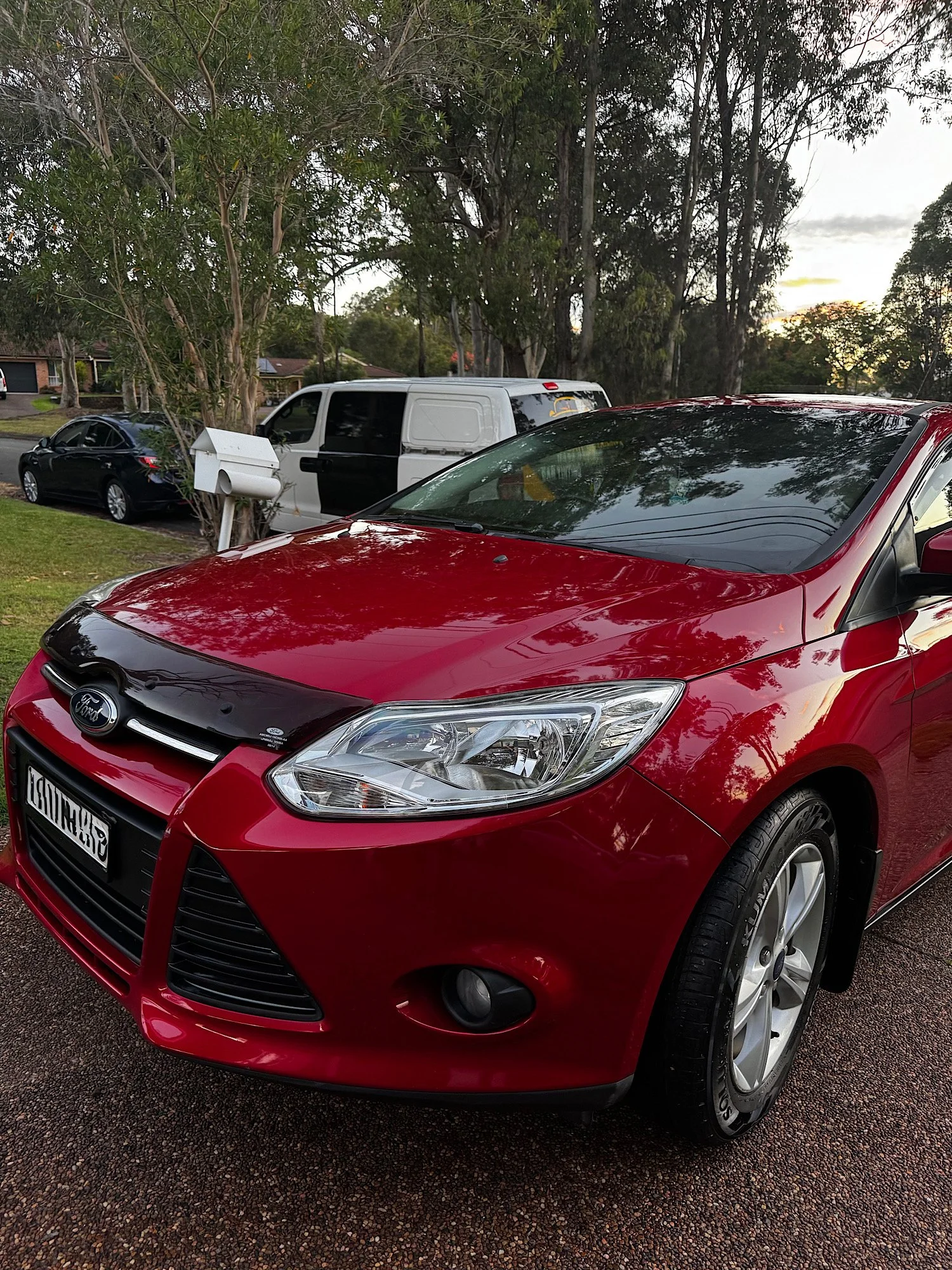 Ford Focus Pre-Sale Package | Watanobbi NSW