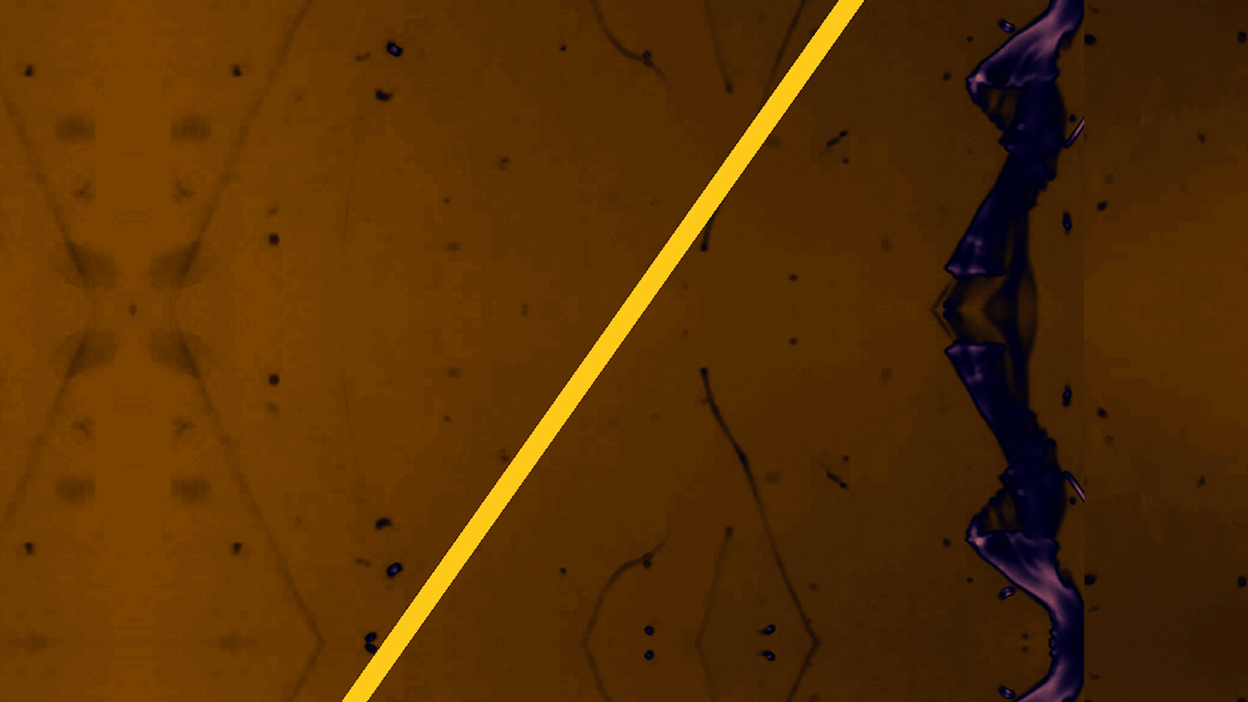 A Chorus of These ThingsFINAL.00_01_37_08.Still018.png