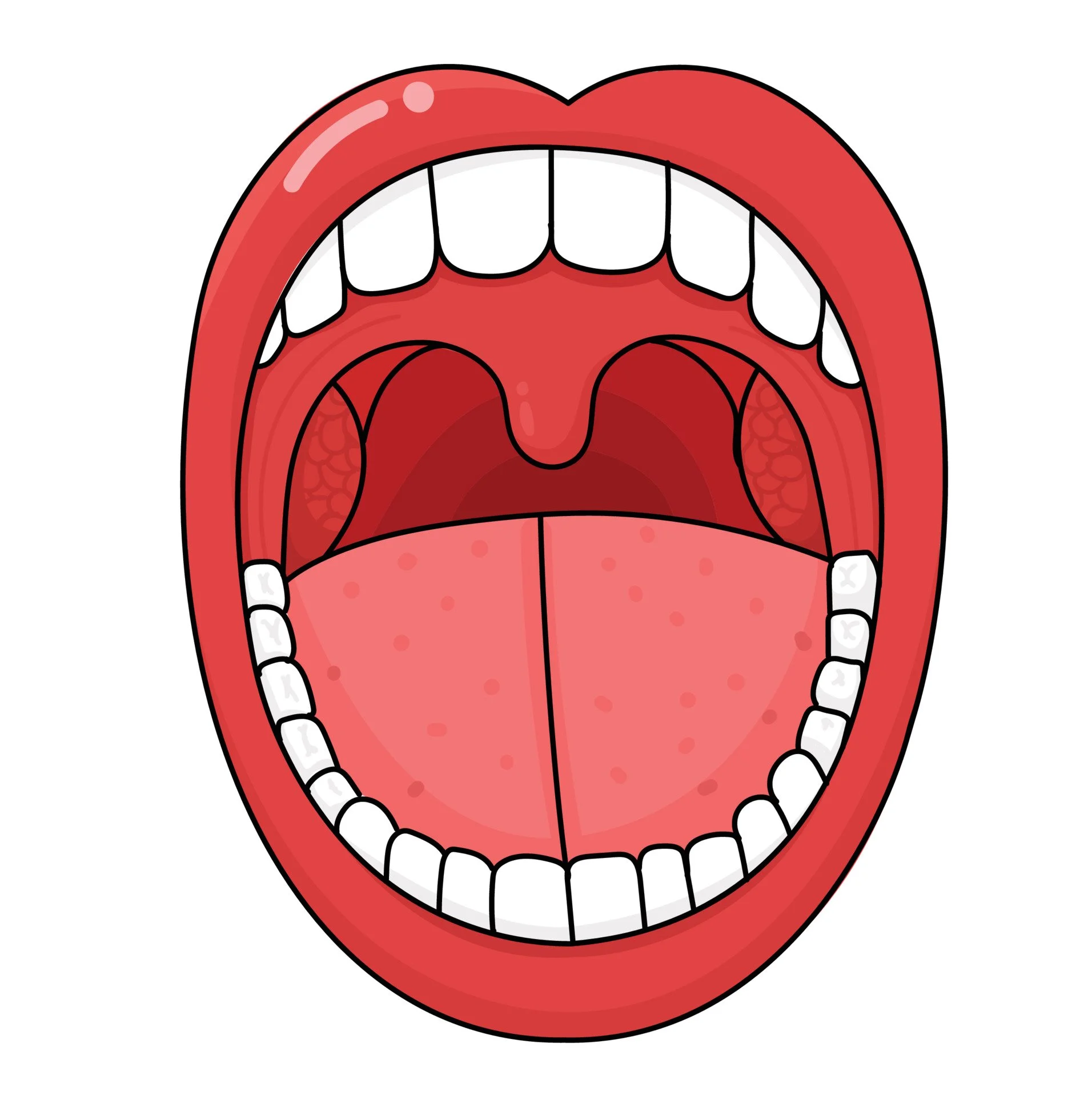 Tonsil Asymmetry – When Uneven Tonsils Need Checking