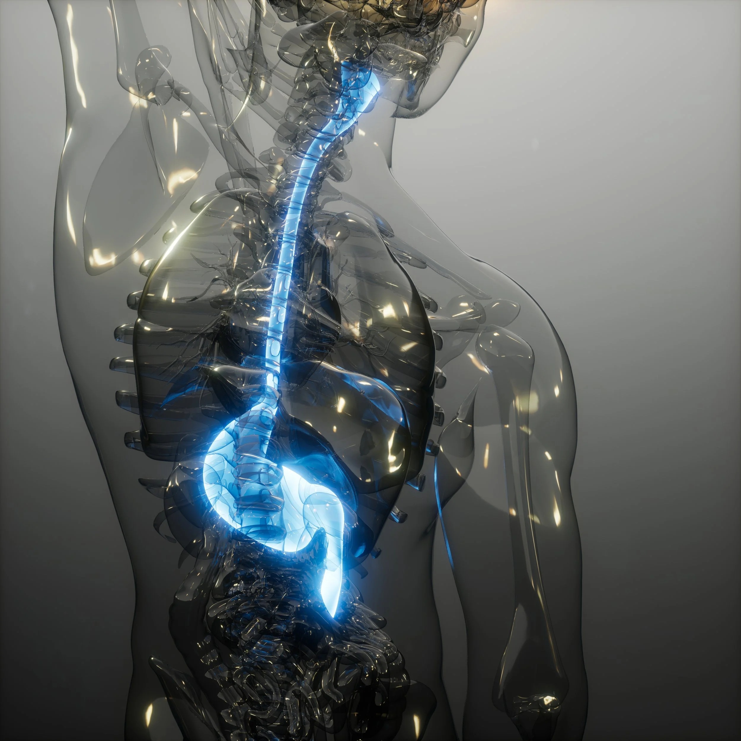 Dysphagia (Swallowing Difficulties): Causes, Assessment, and Treatment