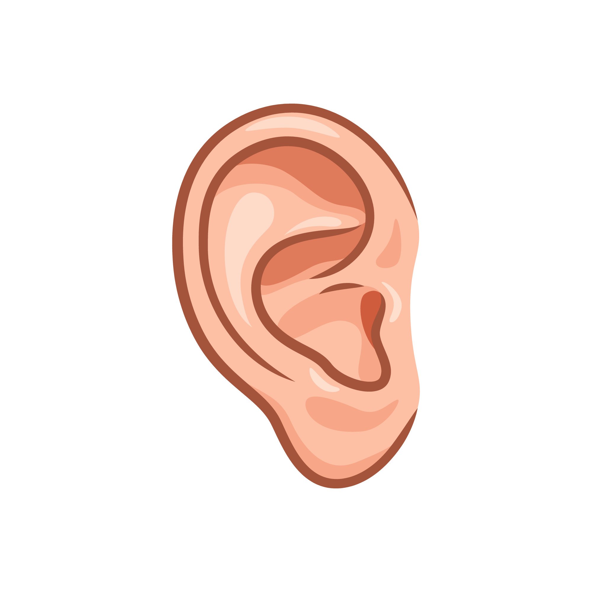 Cholesteatoma: Symptoms, Diagnosis and Why It Should Not Be Ignored