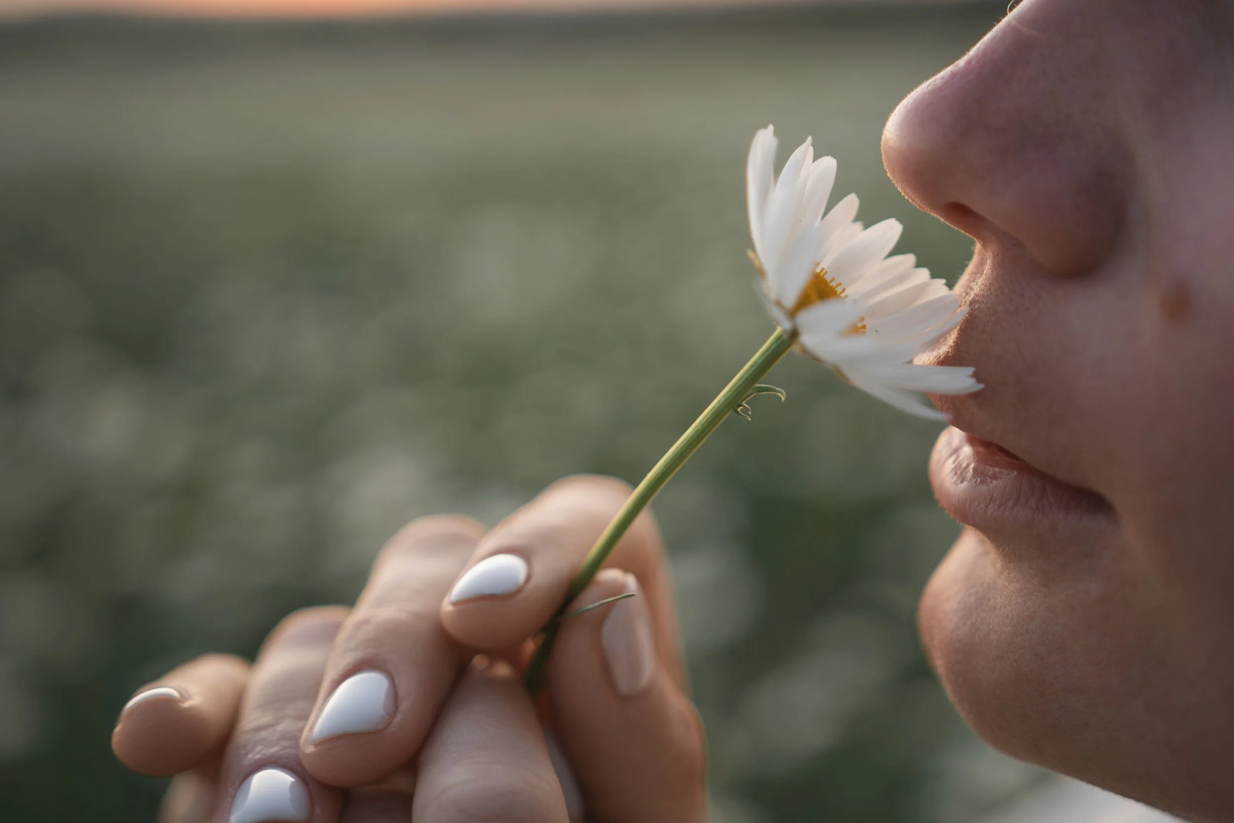 Loss of Smell: Sinusitis, Nasal Polyps, Allergy or Something Else?