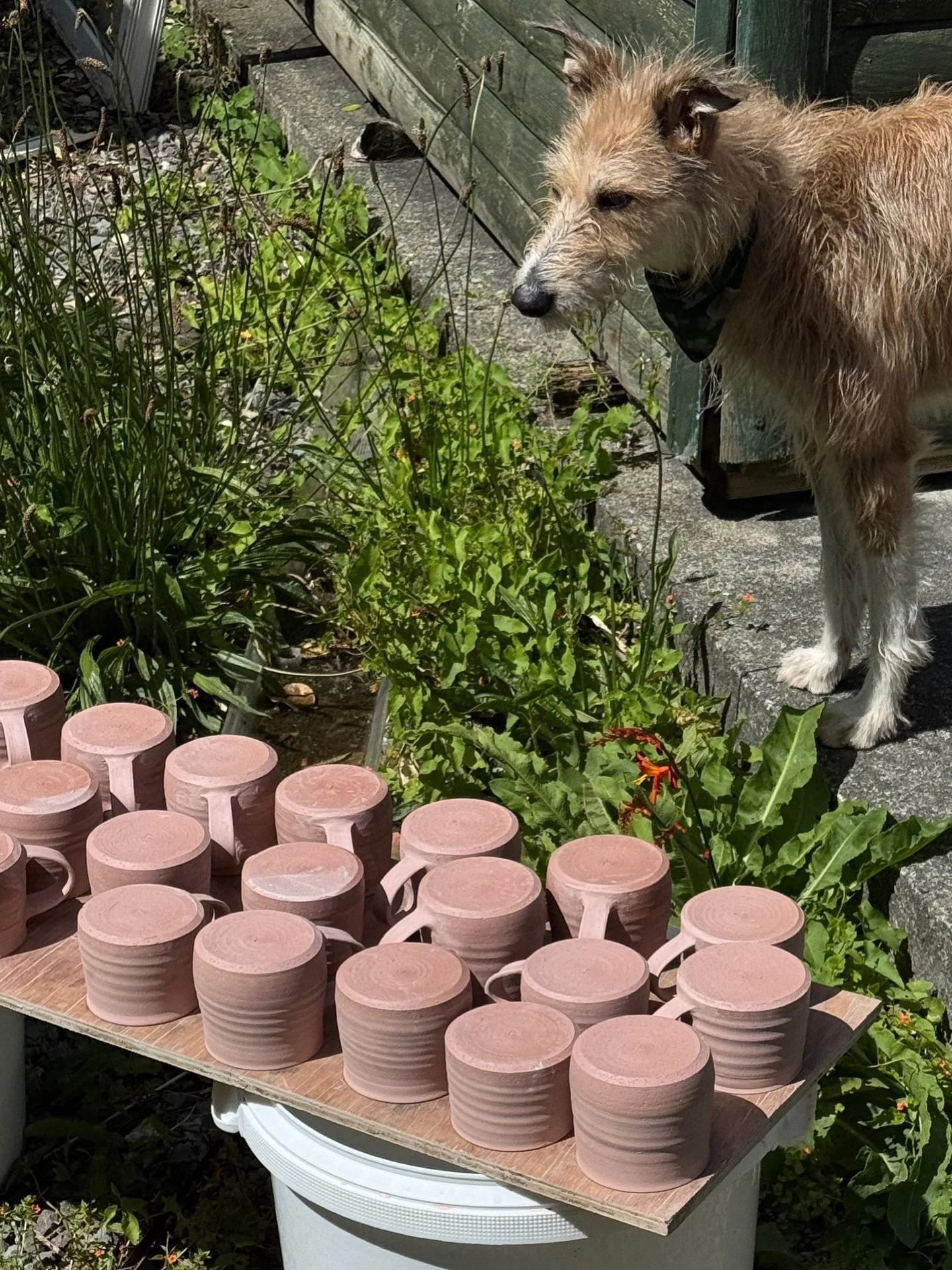 Busy making pots n drying them in the sunshine

#pottery #mug #ceramics #irishcraft
