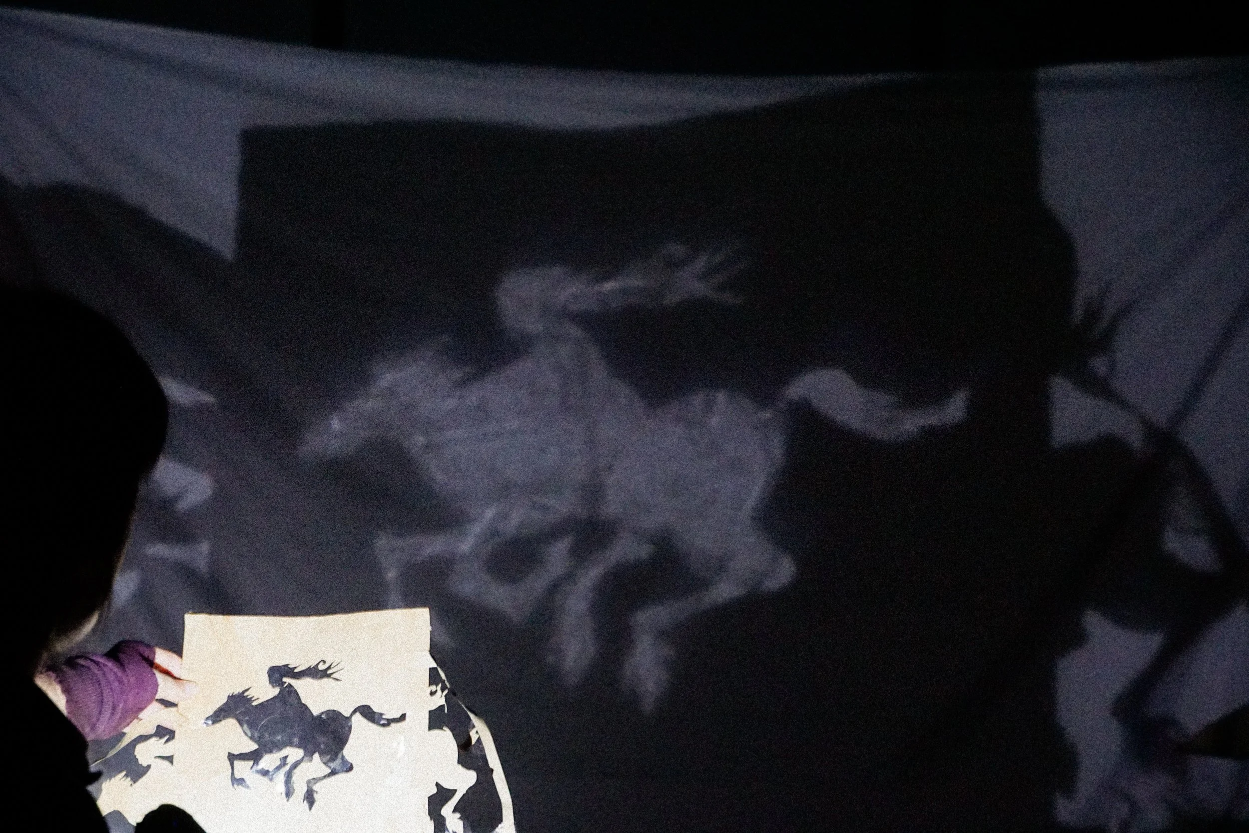 The Dark, ART New York: Inverse shadow puppet 