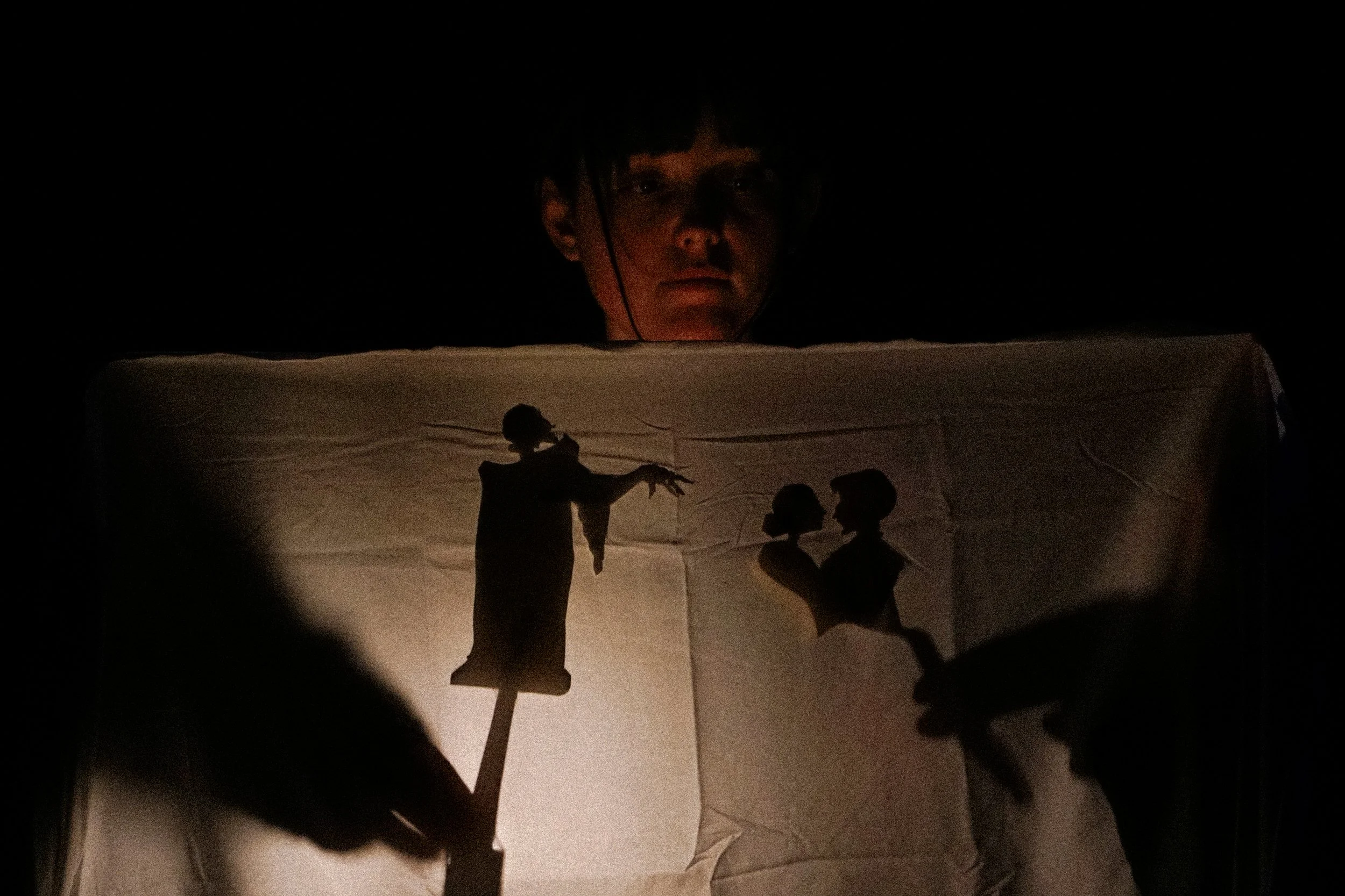 The Dark, ART New York: Traditional shadow puppets 